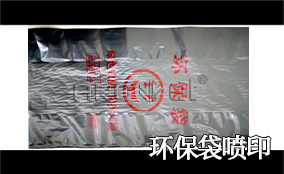 R3NG官网高精高速喷印可变数据喷印系统 Tehnical Parameters
